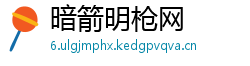 暗箭明枪网